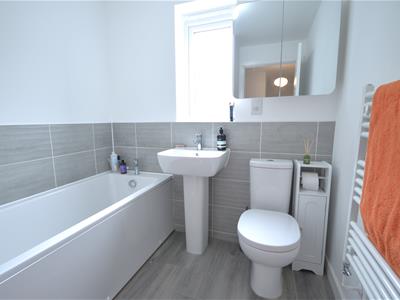 Picture 14